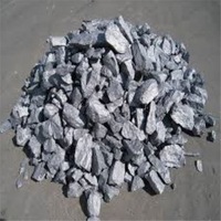 Supplier Powder/granule/ball Shape Ferro Silicon 75/72 -4
