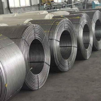 CaSi /calcium Silicon Cored Wire Made In China Factory -4